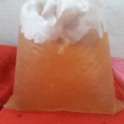 น้ำลำไย