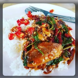 กระเพราปลากระป๋อง (ราดข้าว)