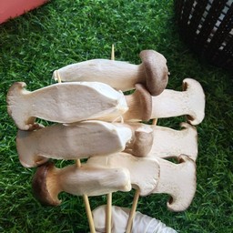 เห็ดออรินจิ