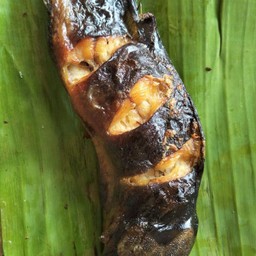 ปลาดุกย่าง