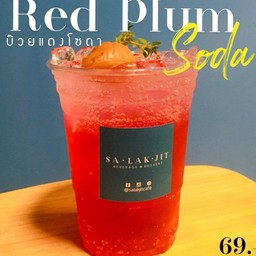 Red Plum soda