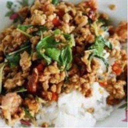 กระเพราหมูสับราดข้าว