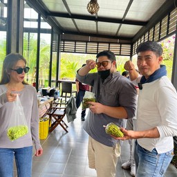 ภูกาษาวาเล่ย์ Phukasa Valley