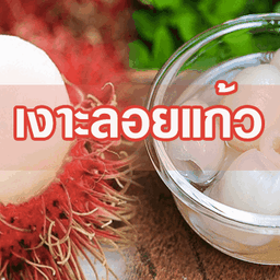 หนูชื่นใจ บางเขน