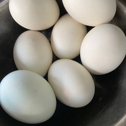 ไข่เค็ม