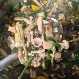 Bamboo Shoot and Mushroom Curry
