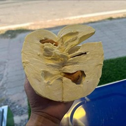 หมอนทองแกะเนื้อพรีเมียม เกรด AAA