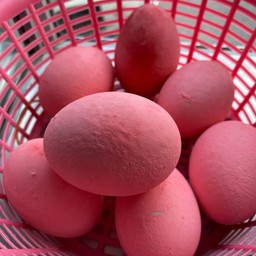 ไข่เยี่ยวม้า