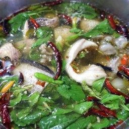 Tom Yum Snakehead Fish