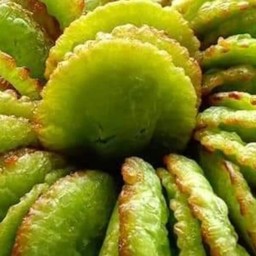 ปาลอกือโป๊ะ ปัตตานี ฮาลาล 2