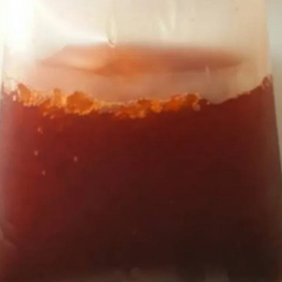 ชาดำเย็นถุง