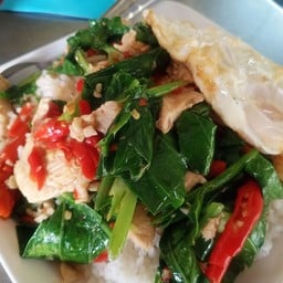 ผัดคะน้า