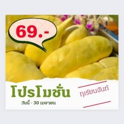 ทุเรียนหน้าวัดสุทธาวาส พัทยา