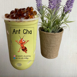 ชาเขียวนมปั่น