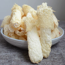 Bamboo Pulp Mushroom