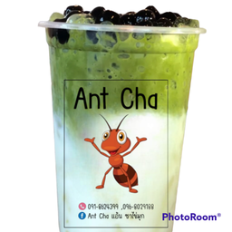 มัทฉะลาเต้