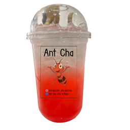 สตอเบอรี่โชดา