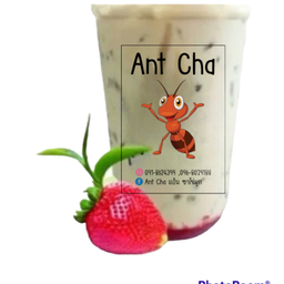 ชานมสตรอเบอรรี่.