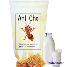 นมสดน้ำผึ้ง-