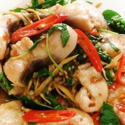 ข้าวราดผัดฉ่าปลาดอลลี่