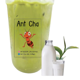 ชาเขียวนม-