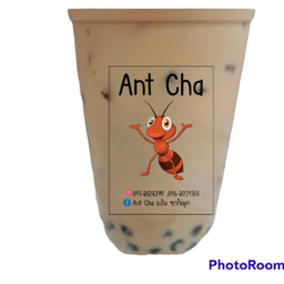 ชานมไต้หวัน