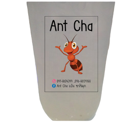 เมล่อนโชดา.