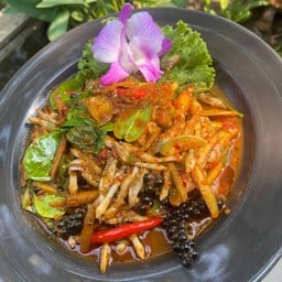 หอยหลอดโหดกระชาก