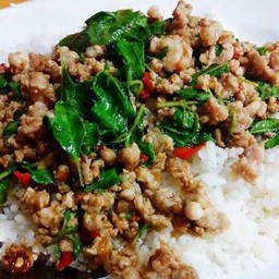 ข้าวกะเพรา (ราดข้าว)