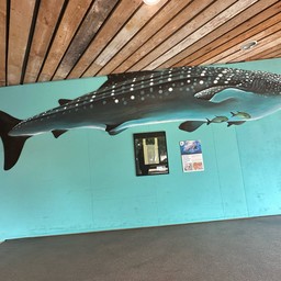 Rotterdam Zoo