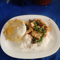 ข้าวกระเพราไก่ไข่ดาว