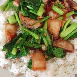 คะน้าหมูกรอบราดข้าว