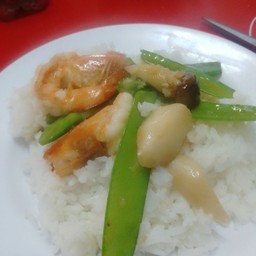 ข้าวราดผัดถั่วลันเตากุ้ง