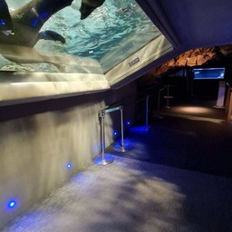Sumoda Aquarium