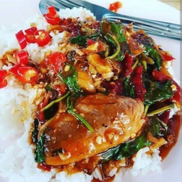 กะเพราปลากระป๋อง