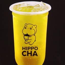 ชาเมล่อน