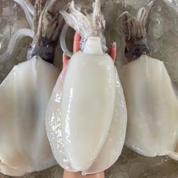 กุ้งเผา(ใช้เป็นๆเผา) กุ้งเป็นๆ สาขาฉลองกรุง