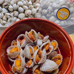 หอมหอย กรีนฯ รัชโยธิน (หอยแครง หอยนางรม) สาขาตลาดกรีนวินเทจ รัชโยธิน