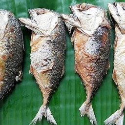 ปลาทูทอด