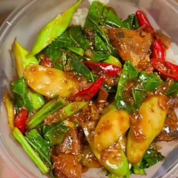 ข้าวคะน้าปลากระป๋อง+ฟรีไข่ดาว