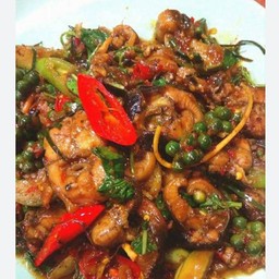 ผัดเผ็ดปลาไหล