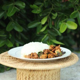 ข้าวกะเพราไก่ พริกแห้ง