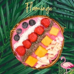 Flamingo