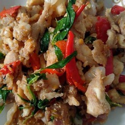 ผัดกระเพราจระเข้