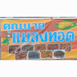 คุณนายแมลงทอด เทิดราชัน 11