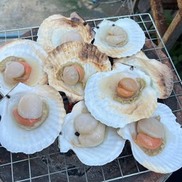 หอยเชลล์ญี่ปุ่นย่าง