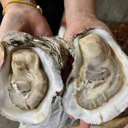 หอยนางรมซุปเปอร์