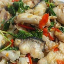 ผัดกระเพราปลาคัง