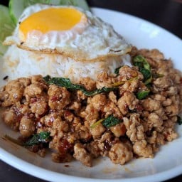 ทานปะล่ะ