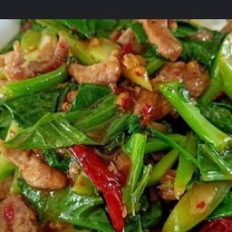 ผัดคะน้าหมูน้ำมันหอย